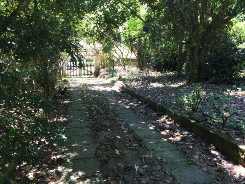 Imagem 3