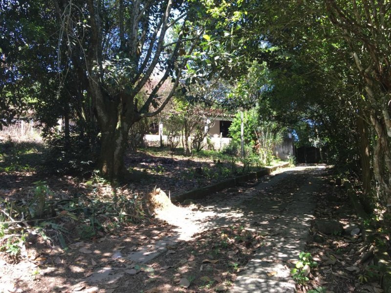 Imagem 2