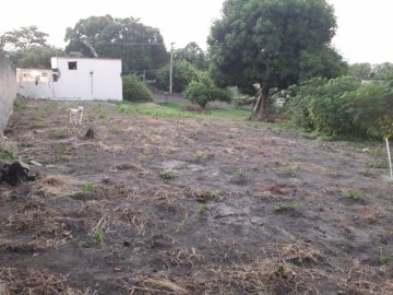 Terreno - Venda - Pacheco - São Gonçalo - RJ