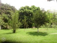 Chácara - Venda - Sambaetiba - Itaboraí - RJ